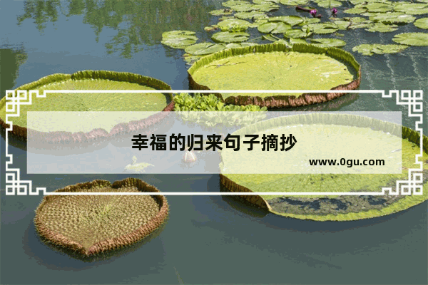 幸福的归来句子摘抄