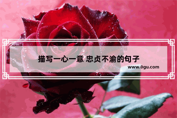 描写一心一意 忠贞不渝的句子