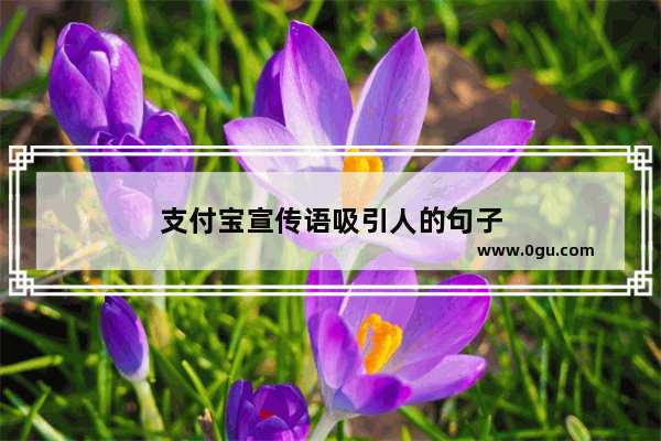 支付宝宣传语吸引人的句子