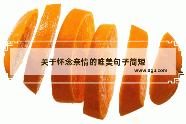 关于怀念亲情的唯美句子简短