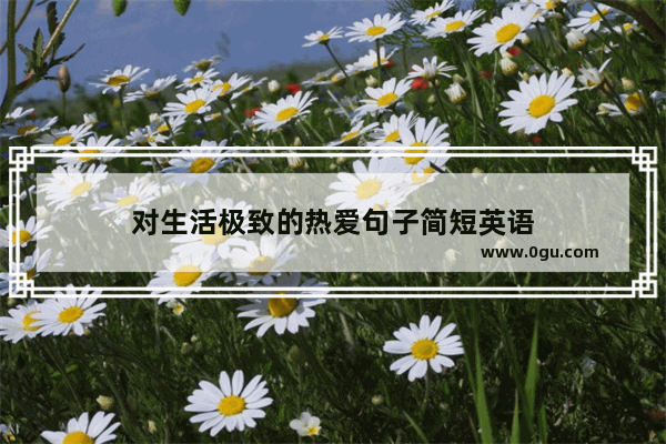 对生活极致的热爱句子简短英语