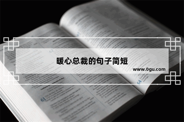 暖心总裁的句子简短