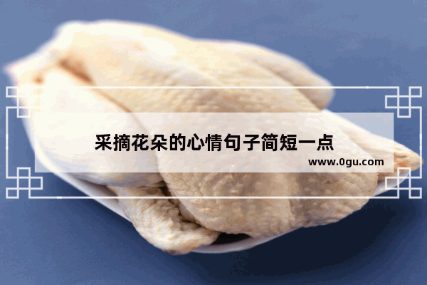 采摘花朵的心情句子简短一点