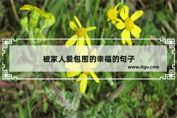 被家人爱包围的幸福的句子