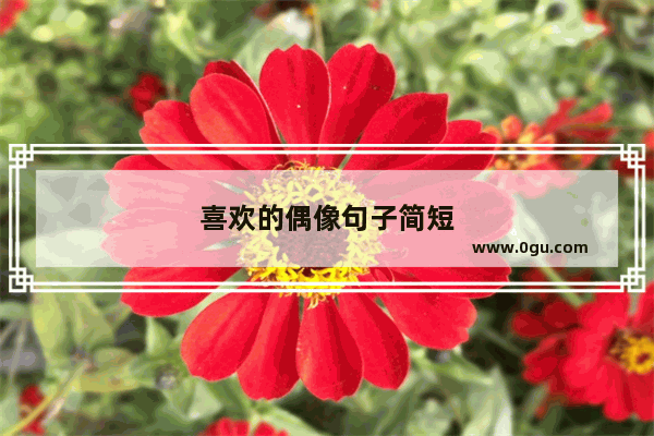 喜欢的偶像句子简短