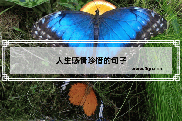 人生感情珍惜的句子