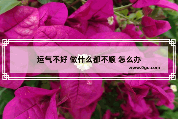 运气不好 做什么都不顺 怎么办