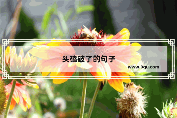 头磕破了的句子