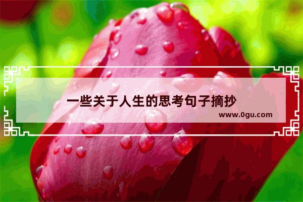一些关于人生的思考句子摘抄