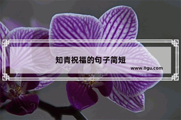 知青祝福的句子简短