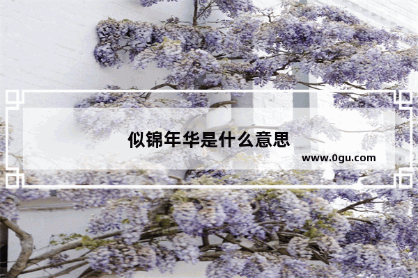 似锦年华是什么意思