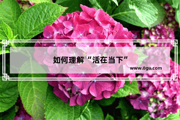 如何理解“活在当下”