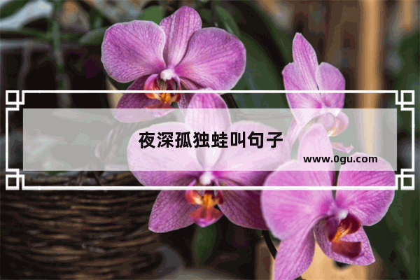 夜深孤独蛙叫句子