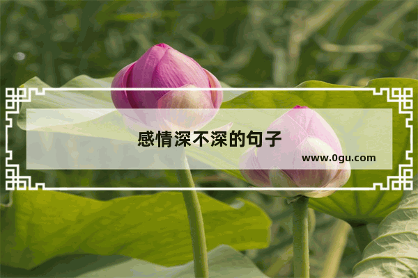 感情深不深的句子