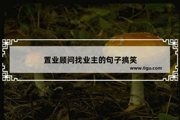 置业顾问找业主的句子搞笑