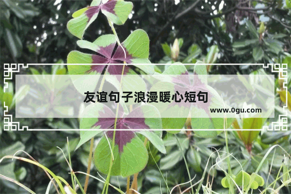 友谊句子浪漫暖心短句