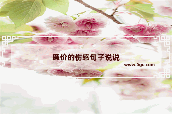 廉价的伤感句子说说