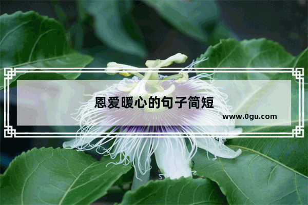 恩爱暖心的句子简短