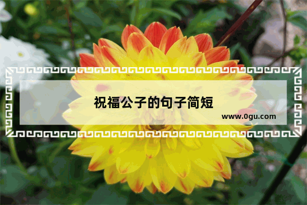 祝福公子的句子简短