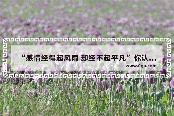 “感情经得起风雨 却经不起平凡”你认同这句话吗？为什么