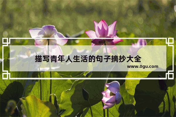 描写青年人生活的句子摘抄大全