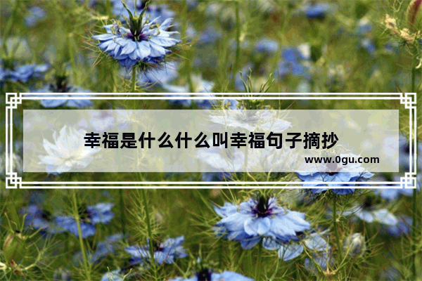 幸福是什么什么叫幸福句子摘抄