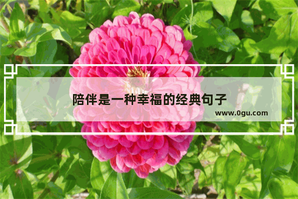 陪伴是一种幸福的经典句子