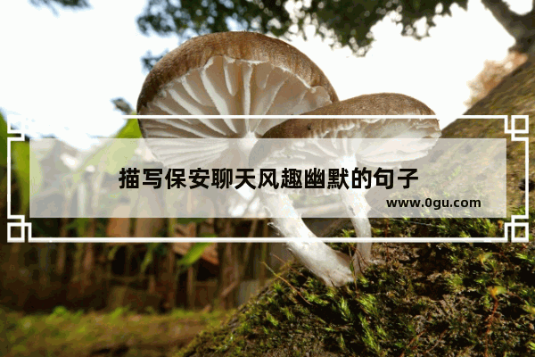 描写保安聊天风趣幽默的句子