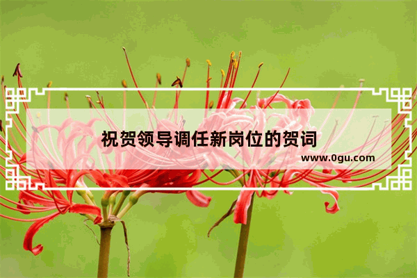 祝贺领导调任新岗位的贺词
