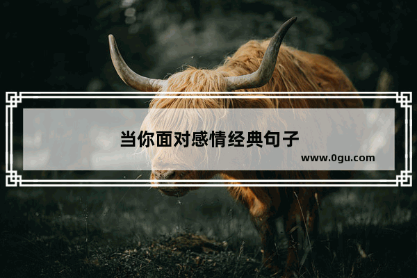 当你面对感情经典句子