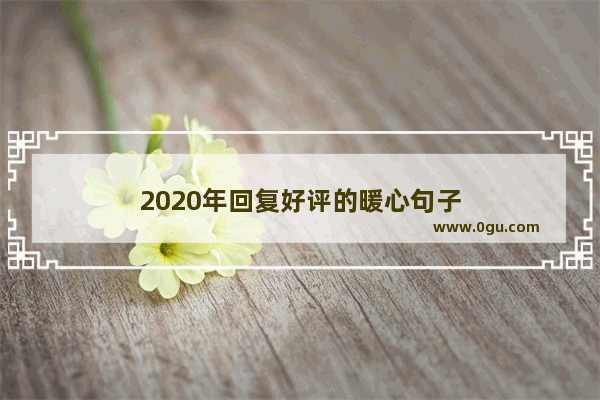 2020年回复好评的暖心句子
