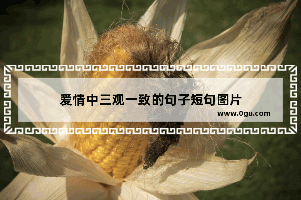 爱情中三观一致的句子短句图片