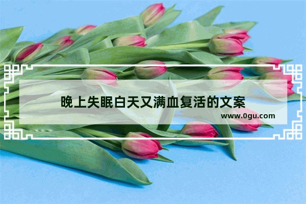 晚上失眠白天又满血复活的文案