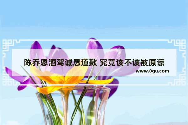 陈乔恩酒驾诚恳道歉 究竟该不该被原谅