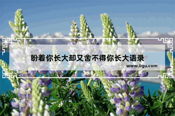 盼着你长大却又舍不得你长大语录