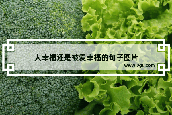 人幸福还是被爱幸福的句子图片