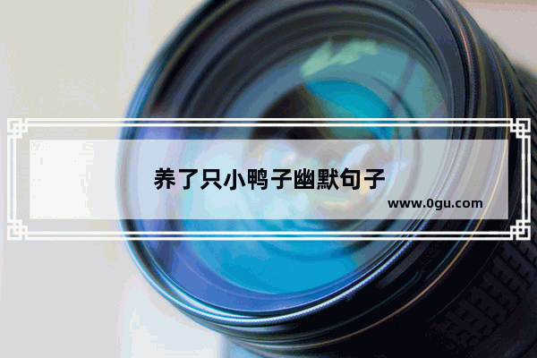 养了只小鸭子幽默句子