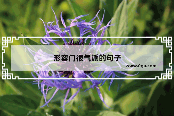 形容门很气派的句子