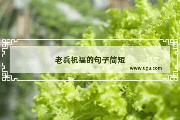老兵祝福的句子简短