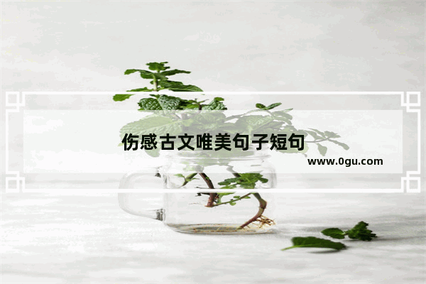伤感古文唯美句子短句