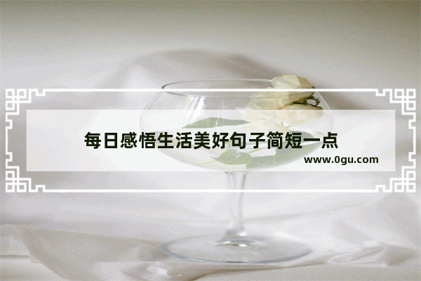 每日感悟生活美好句子简短一点