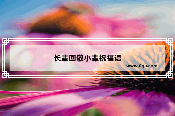 长辈回敬小辈祝福语