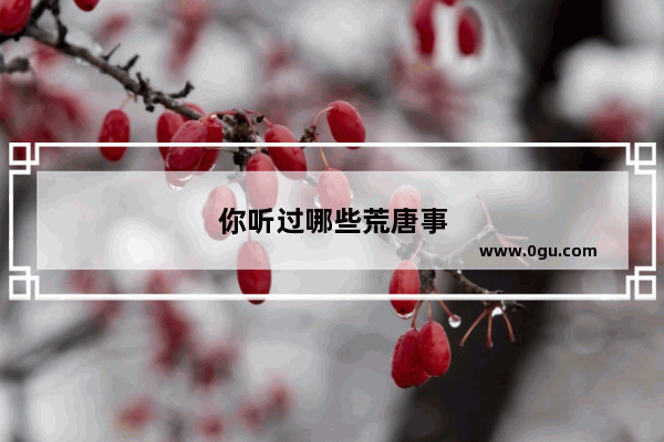 你听过哪些荒唐事