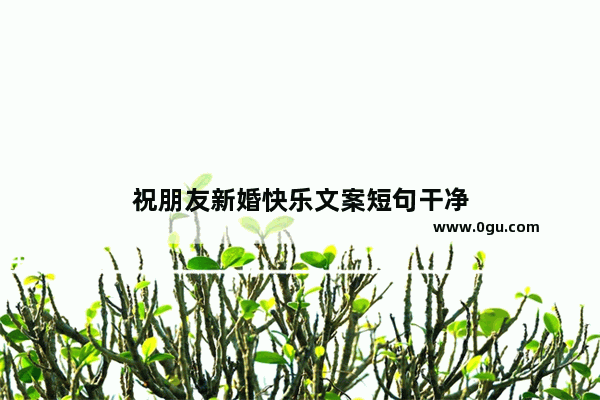 祝朋友新婚快乐文案短句干净