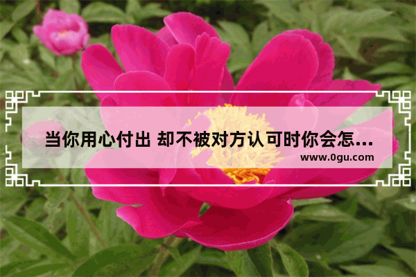 当你用心付出 却不被对方认可时你会怎么想