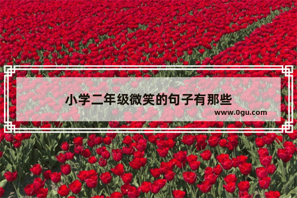 小学二年级微笑的句子有那些