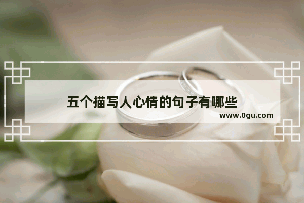 五个描写人心情的句子有哪些