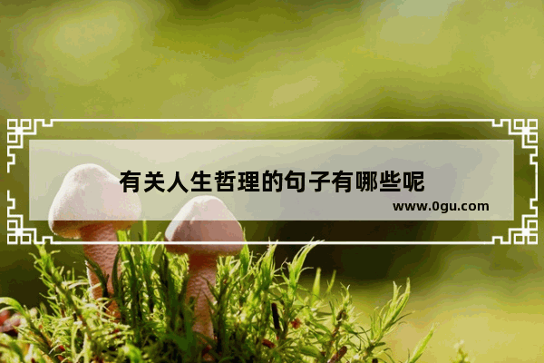 有关人生哲理的句子有哪些呢