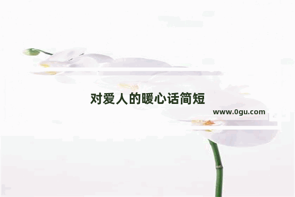 对爱人的暖心话简短