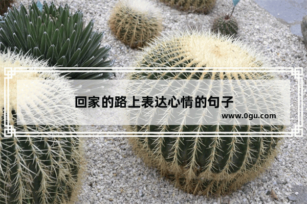 回家的路上表达心情的句子